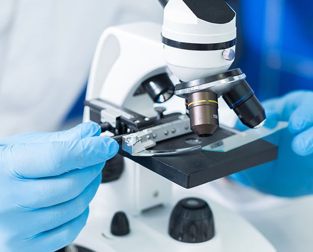 NorthStar Laboratories